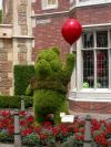 Willie the Pooh Topiary